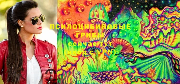 mix Лабытнанги