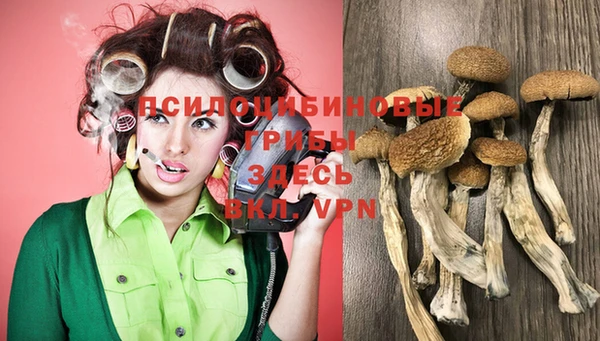 ПСИЛОЦИБИНОВЫЕ ГРИБЫ Ладушкин