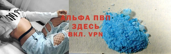 ПСИЛОЦИБИНОВЫЕ ГРИБЫ Ладушкин