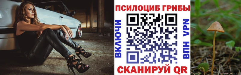 Купить закладки  Шлиссельбург  Галлюциногенные грибы мицелий 